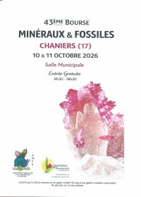 Mineralen en fossielen te koop en te bezichtigen.