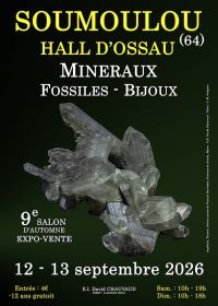 9e Mineralen-, Fossielen- en Sieradenbeurs