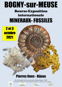 Fossiele mineralen International Exhibition Fellowship