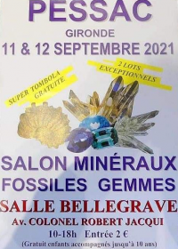 Edelsteen Fossiele Mineralen Fair