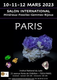 Mineralen, Fossielen, Edelstenenbeurs, Parijs Institut du Judo
