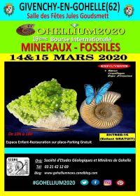 19e internationale fossiele mineralen Gohellium 2020 Exchange