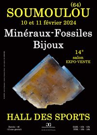 14e tentoonstelling over minerale fossielenjuwelen
