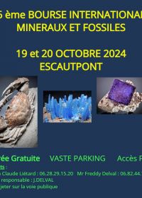 26e Internationale Mineralen- en Fossielenshow