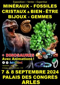 Mineralen Fossielen Kristallen & Welzijn Show Sieraden en Edelstenen + Dinosaurustentoonstelling