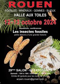 29e internationale tentoonstelling van Rouen 2024 Fossielen, mineralen, edelstenen en sieraden
