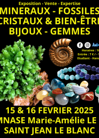 45e Tentoonstelling Mineralen Fossielen Kristallen & Welzijn Sieraden en Edelstenen