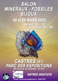 Mineralen, fossielen, design sieraden tentoonstelling.