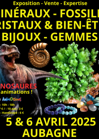 4e tentoonstelling over mineralen, fossielen, kristallen, welzijn, sieraden en edelstenen