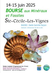 Mineralen- en fossielenuitwisseling
