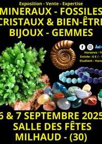 Beurs voor mineralen, fossielen, kristallen en welzijnsjuwelen en edelstenen in Nîmes