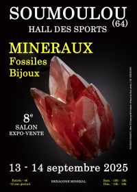 8e herfst MINERALEN FOSSIELEN SIERADEN SHOW