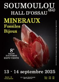 8e herfst Mineralen, Fossielen, Sieradenbeurs