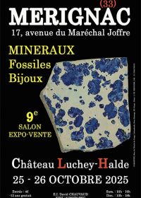 9e MINERALEN FOSSIELEN SIERADENSHOW