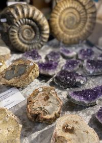 Prachtige stenen en mineralen 2025