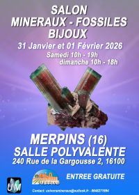 Tentoonstelling van mineralen, fossielen en designjuwelen.