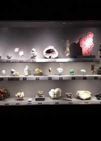 Geologie- en Mineralogiegalerij van de Jardin des Plantes in Parijs Museum national histoire naturelle Geologie- en Mineralogiegalerij van de Jardin des Plantes in Parijs Museum national histoire naturelle