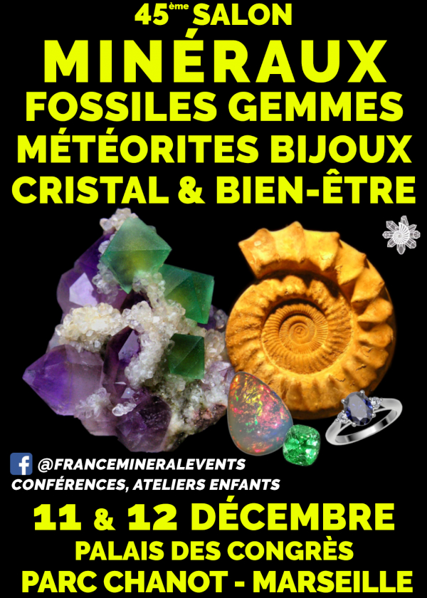 45e Mineralenbeurs Evenement Marseille - Mineralen, Fossielen, Edelstenen, Juwelen, Kristal & Welzijn