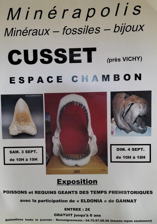 MINERAPOLIS tentoonstelling van fossielen, mineralen en sieraden