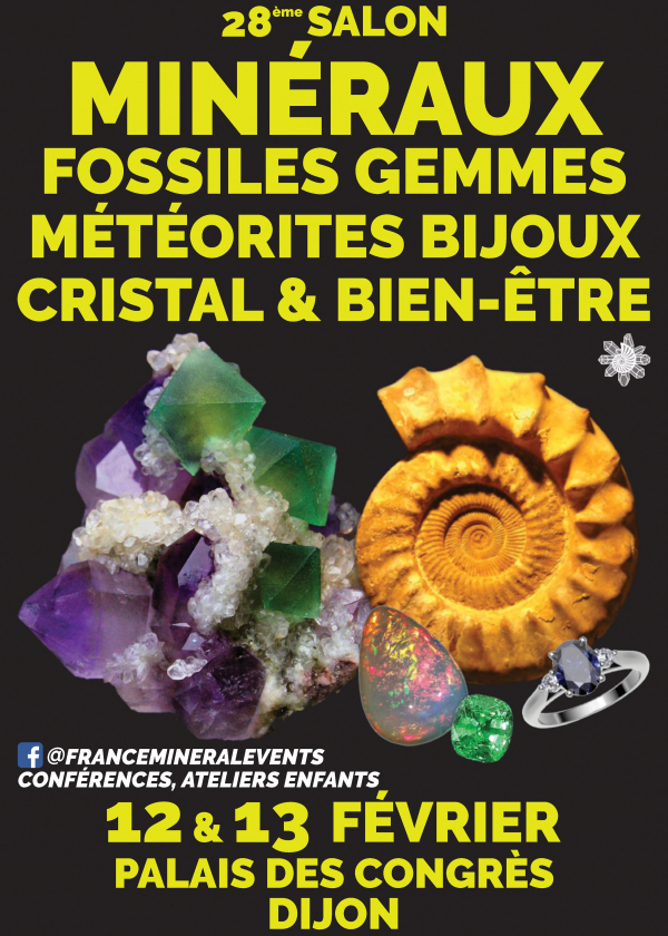 28e Mineraal Evenement Dijon