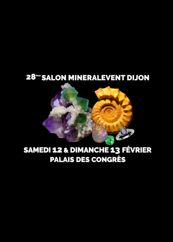28e mineralen, fossielen, edelstenen en sieradenbeurs