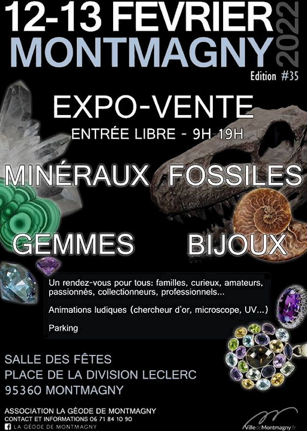 Expo-verkoop Fossiele Mineralen Sieraden