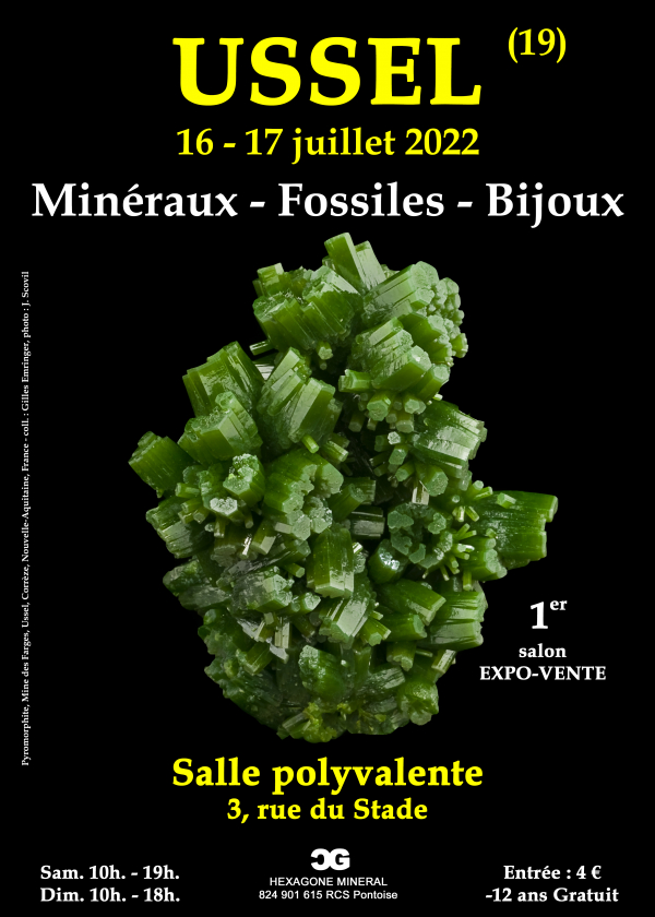 1e Fossiele Sieraden Mineralenbeurs