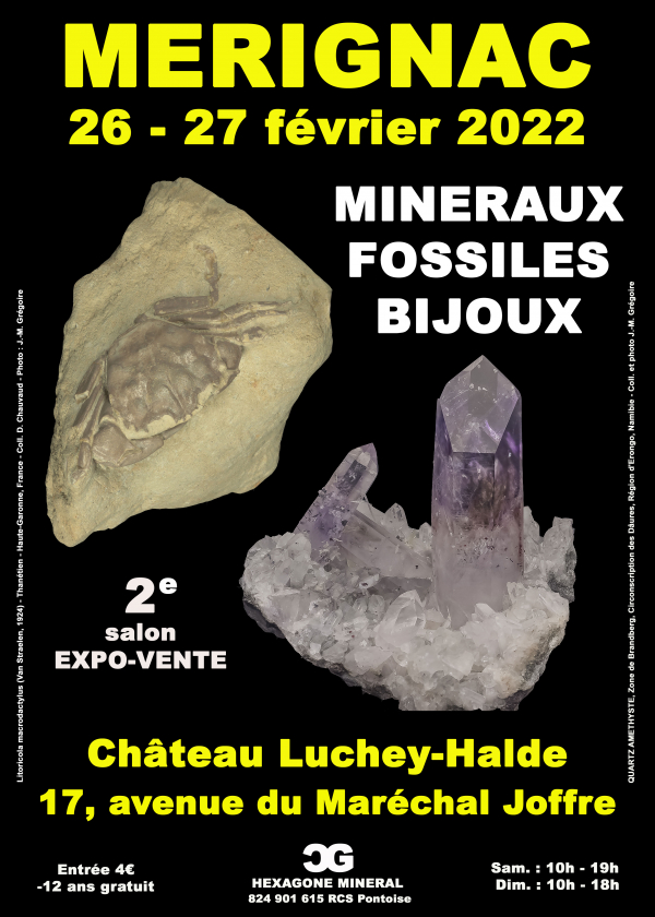 2e Fossiele Mineralen Sieradenbeurs