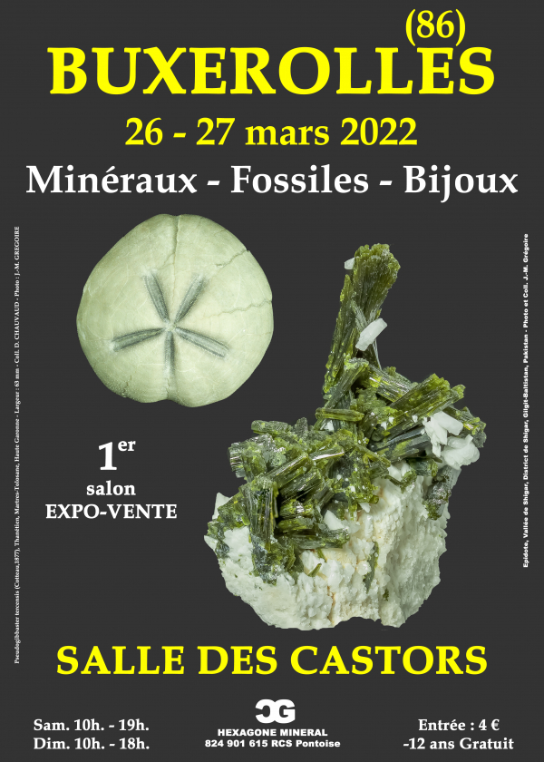 1e Fossiele Mineralen Sieradenbeurs