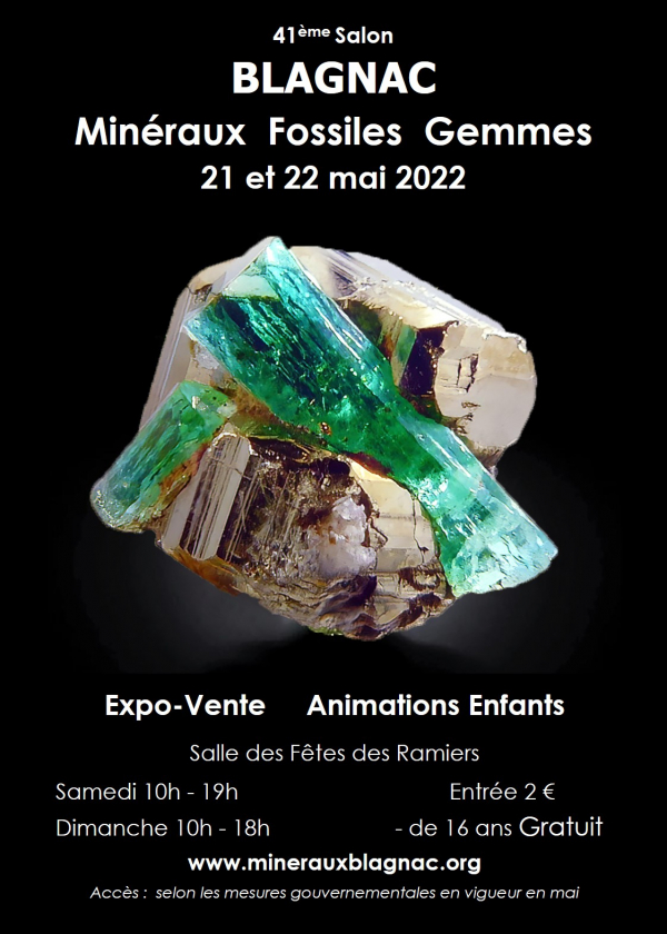 42e Mineralen en Fossielen Fellowship