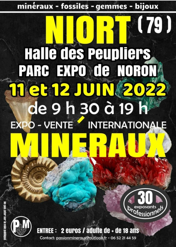 Expo-verkoop van mineralen, fossielen, edelstenen, sieraden