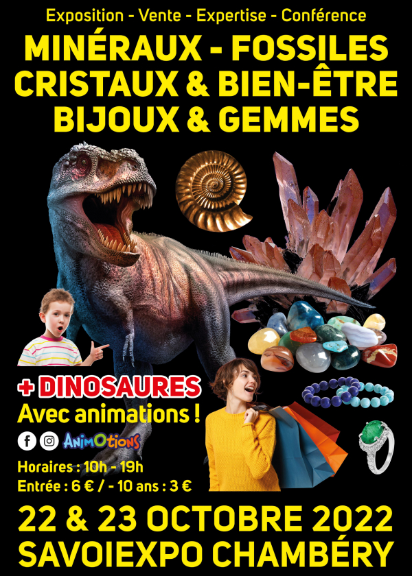 Fossiele mineralen Kristallen en welzijn Sieraden en edelstenenbeurs en tentoonstelling over dinosaurussen