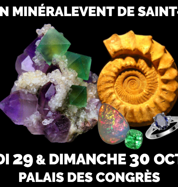 21ste MinéralEvent Beurs van Saint-Raphaël