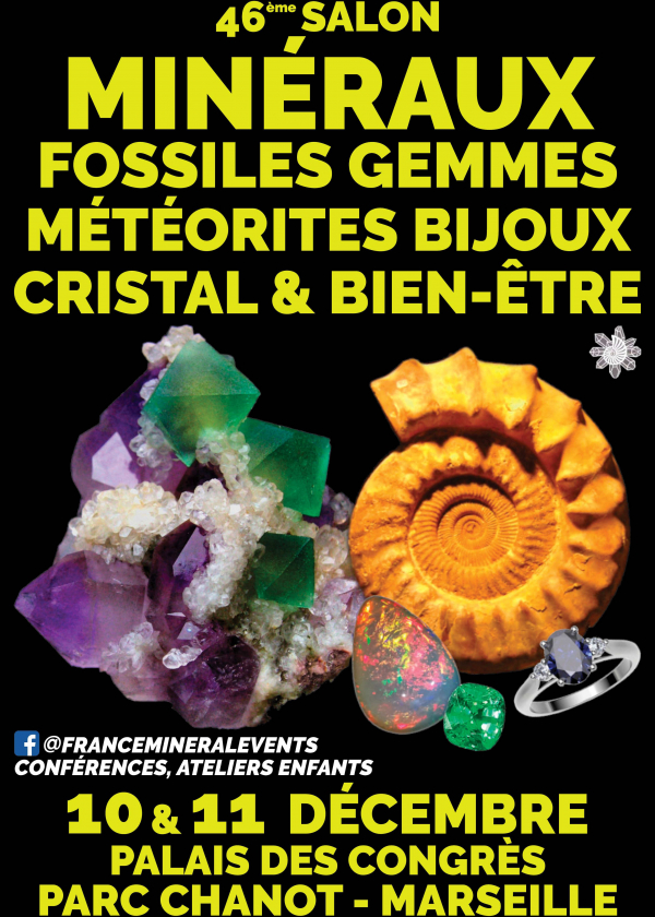 46e MinéralEvenementenbeurs in Marseille