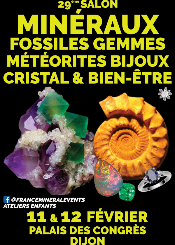 29e Mineralenevenement Dijon
