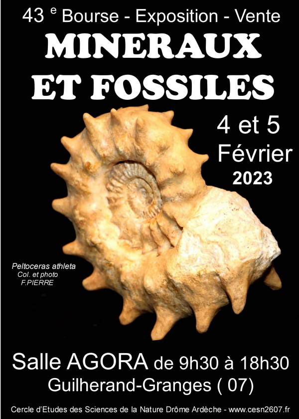 43e Guilherand-Granges Mineralen en Fossielen Exchange