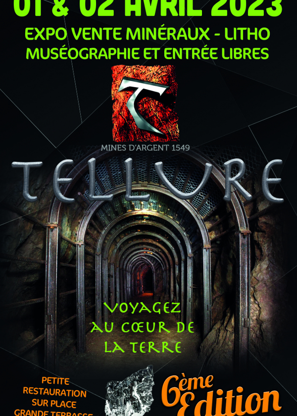 6e veiling van mineralen en litho's