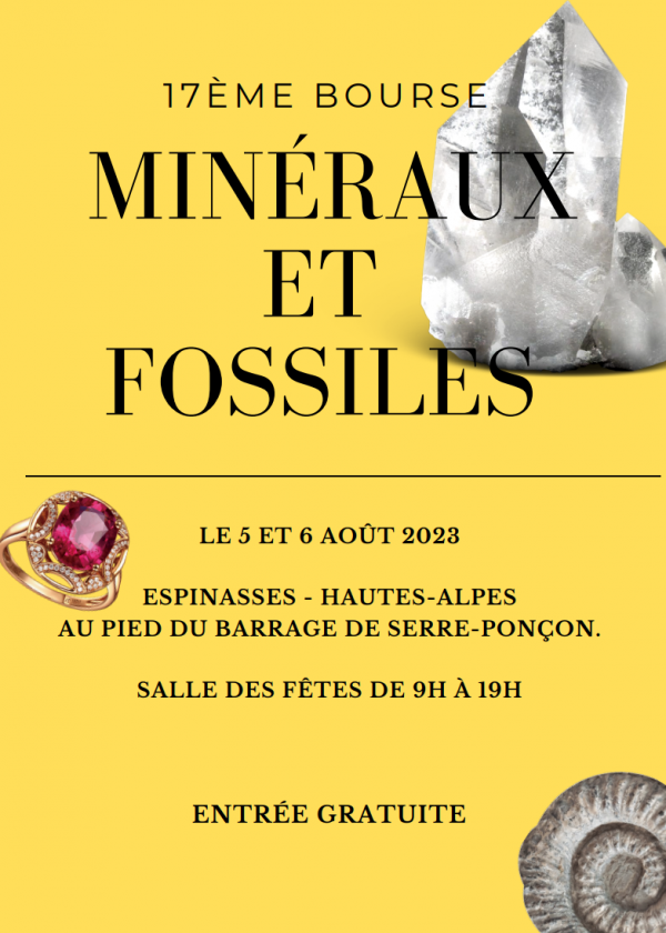 Mineralen en Fossielen Fair