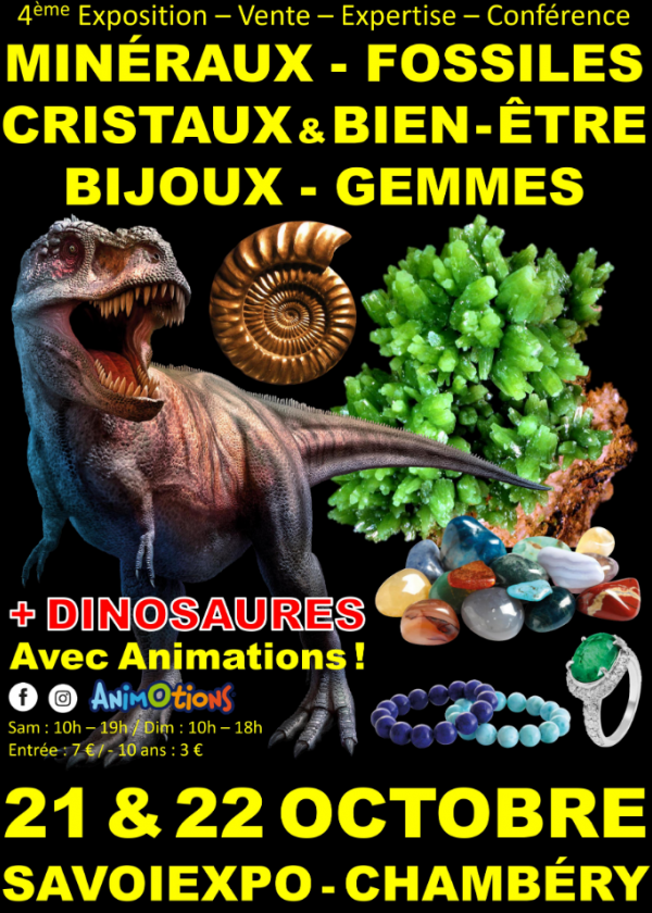 4e Fossiele Mineralen Kristallen & Welzijnsbeurs