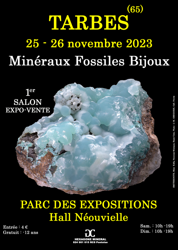 1e FOSSIELE MINERALEN SIERADEN SHOW