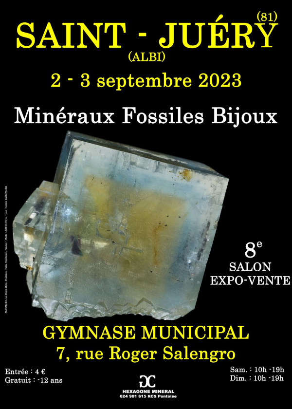 8e JUWELEN FOSSIELE MINERALENBEURS