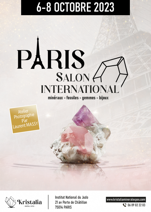 45e Mineralenbeurs in Parijs (75) Kristallen, fossielen, edelstenen en juwelen - herfsteditie