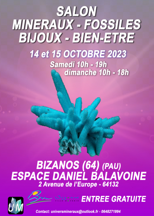 Mineralen, fossielen, designerjuwelen en welzijnsbeurs.