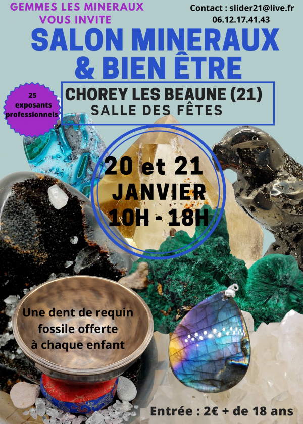 Mineralen, fossielen, meteorieten en welzijn worden getoond