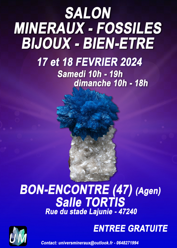 Mineralen, fossielen, designerjuwelen en welzijnsbeurs.