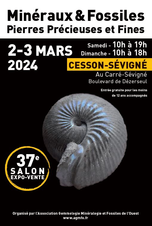 37e AGMFO Mineralenshow