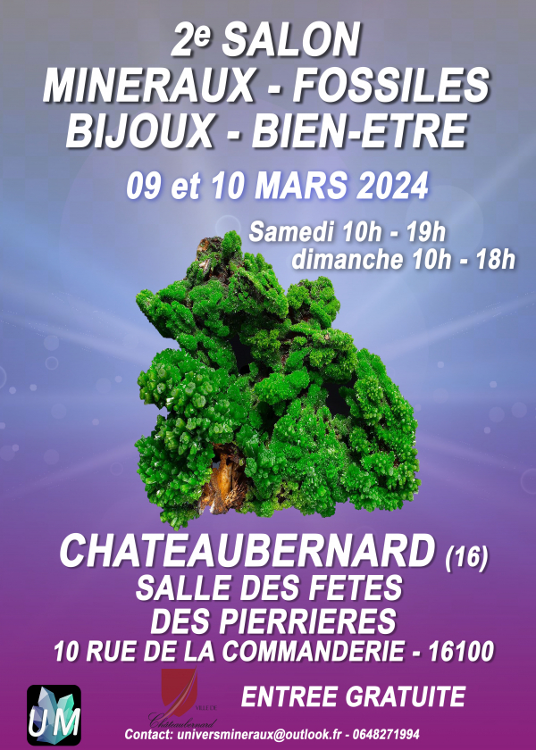 Mineralen, fossielen, designerjuwelen en welzijnsbeurs.