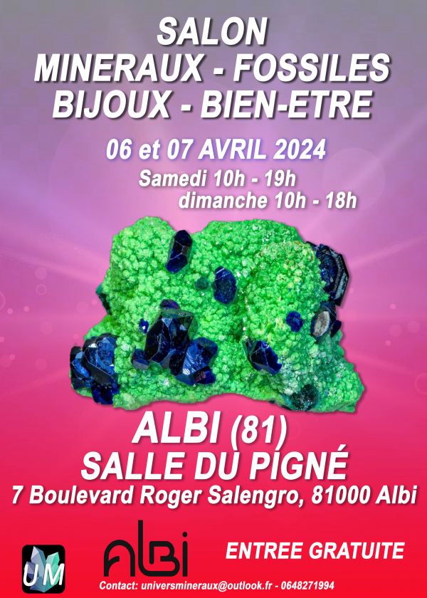 Mineralen, fossielen, designerjuwelen en welzijnsbeurs.