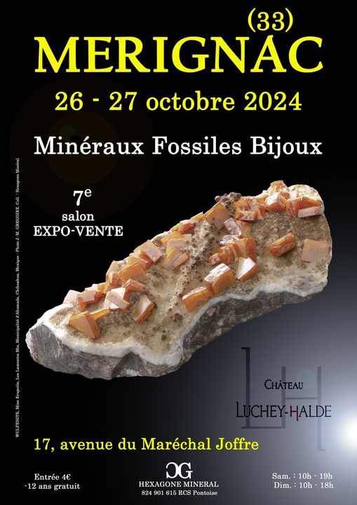7e SIERADENHOW VAN FOSSIELE MINERALEN in MERIGNAC
