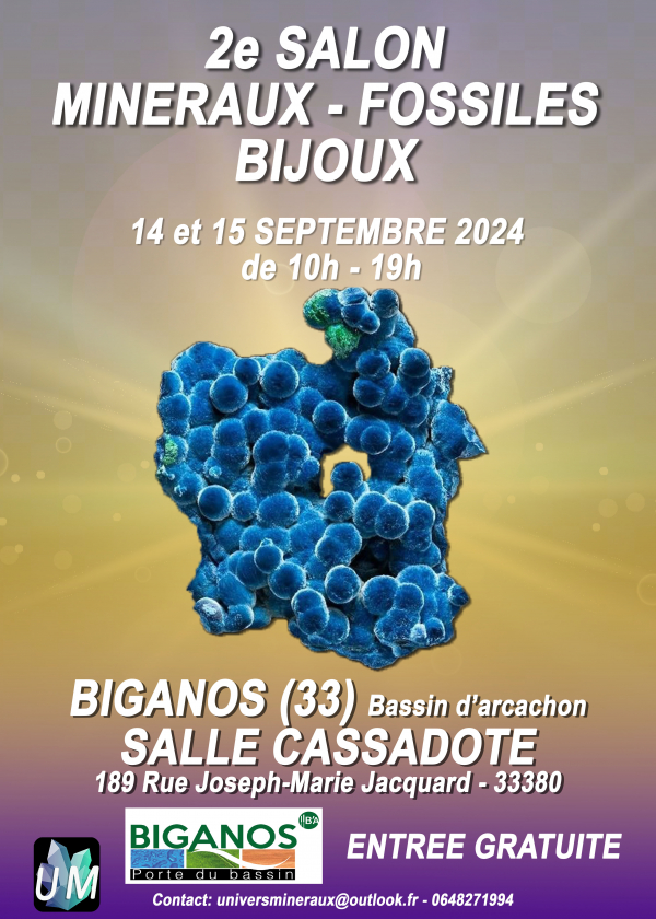 Mineralen, fossielen, designerjuwelenshow